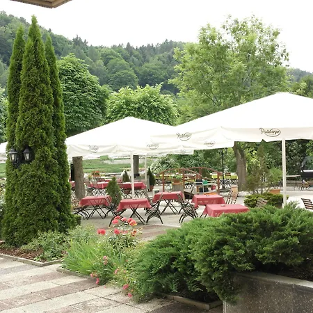 Elbhotel Bad Schandau