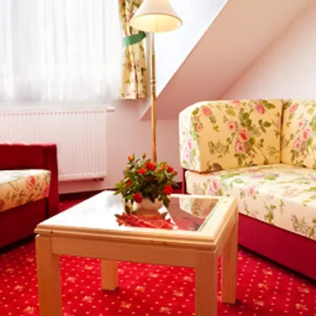 Elbhotel Hotel Bad Schandau